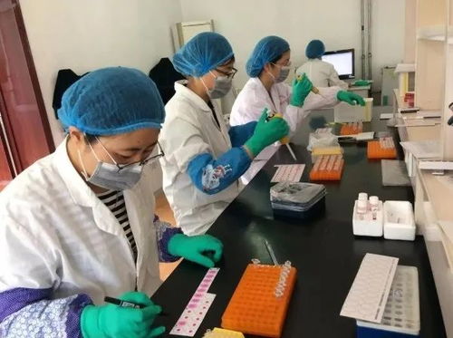 威海文登区畜牧兽医技术服务中心 靠前服务保稳产 技术服务促发展