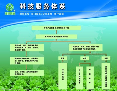 构建高效科技服务体系 以技术服务为核心驱动